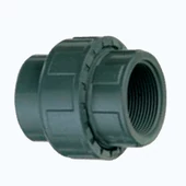 Hollandi ragasztható-bm